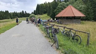 Poletje v Rogu